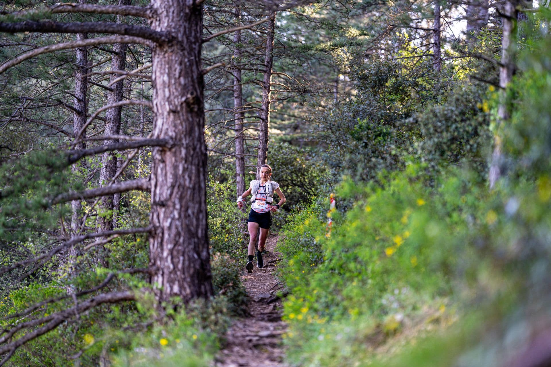Mistral Marathon Trail - MMT
